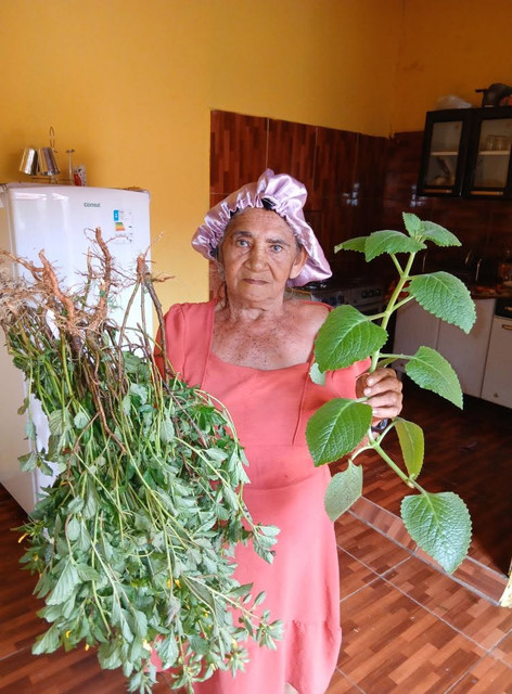Maria Francisca na cozinha, segurando ervas frescas colhidas para as receitas